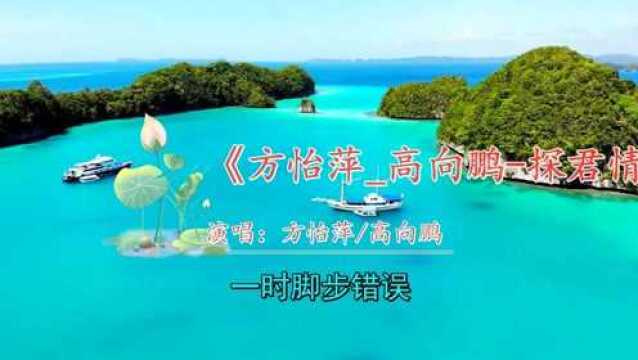 经典好听歌曲《方怡萍探君情泪》