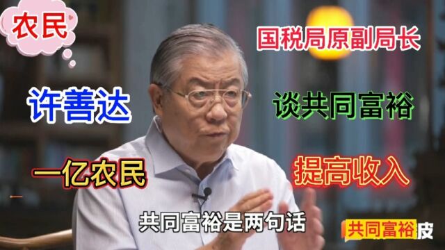 国税局原副局长许善达,解析共同富裕,关键要解决农民的相对贫困