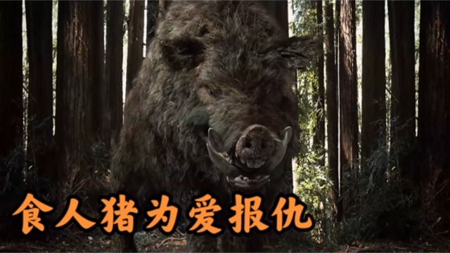 猪后被农村猎户宰杀600野猪王下山疯狂报复恐怖电影