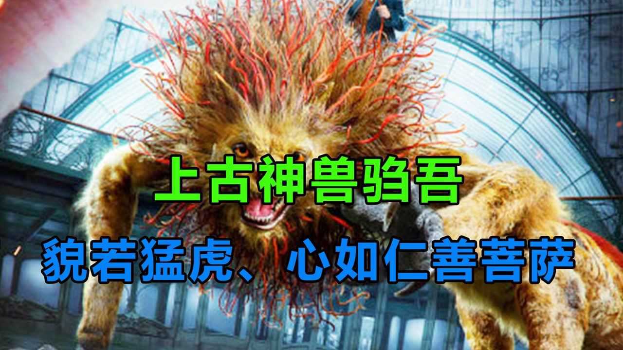 上古神兽驺吾,长着老虎的凶猛样子,却有一颗慈悲心肠#知识π计划-知识抢先知#_腾讯视频