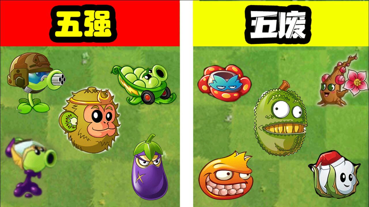 植物大战僵尸:五强vs五废!密帝:我最强!_腾讯视频
