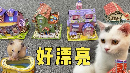 给小仓鼠拼装了四个玩具房子和四个房间玩，小猫咪：羡慕，我也想要