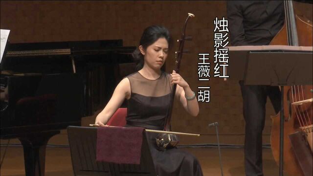 王薇二胡演奏《烛影摇红》,刘天华曲