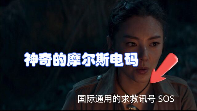 《云南虫谷》雪莉杨听到的神秘电码是什么?摩尔斯密码有何玄妙呢