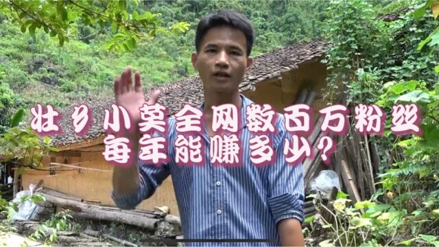 小莫全网数百万粉丝,每年能赚上百万?网友:实名羡慕!