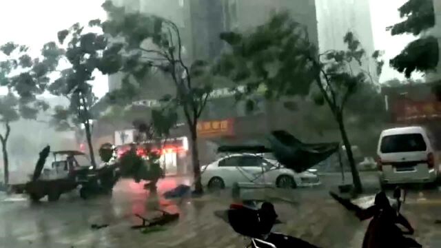 重庆丰都遭遇暴风雨 城区多地大树被折断