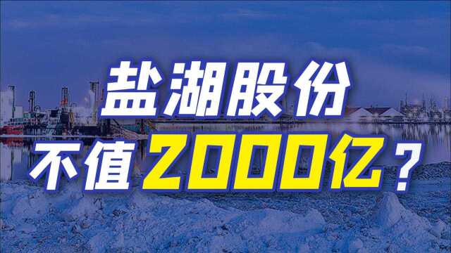 从巨亏破产到市值暴涨300%,“钾肥之王”盐湖股份凭啥值2000亿?【欣欣向融ⷩ™ˆ欣】