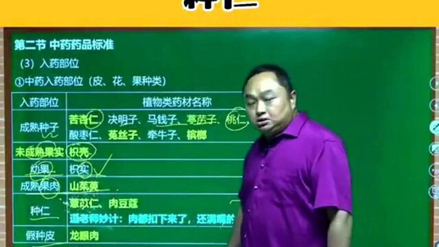 中药药品标准(种仁)执业药师王何伟药考巧记王逗逗老师