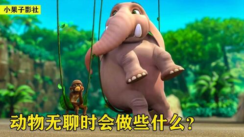 当动物无聊透顶时,它们会做什么呢?