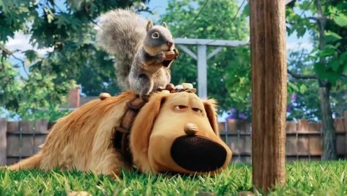 飞屋环游记衍生动画:小逗和小松鼠的逗比日常