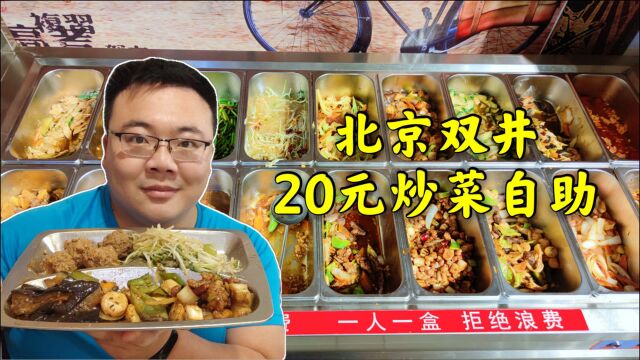 北京双井20元炒菜自助,18个菜,带肉还管饱!这也太值了吧!