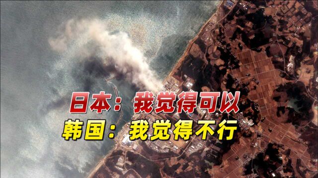 日韩展开交锋!日本称排放核废水入海技术上“可行”,遭韩国反驳