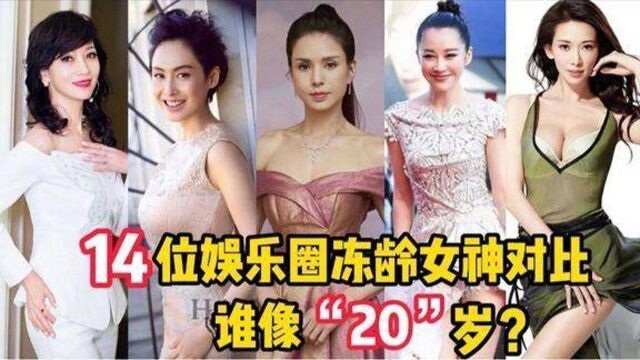 14位娱乐圈冻龄女神,朱茵林志玲美若天仙,赵雅芝简直逆生长.