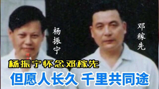 杨振宁怀念邓稼先,但愿人长久,千里共同途.关系超过了兄弟!