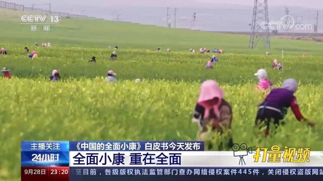 国务院新闻办公室发表《中国的全面小康》白皮书