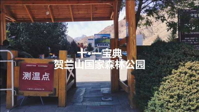 2021.9.18 马赟跃 贺兰山国家森林公园(3改)