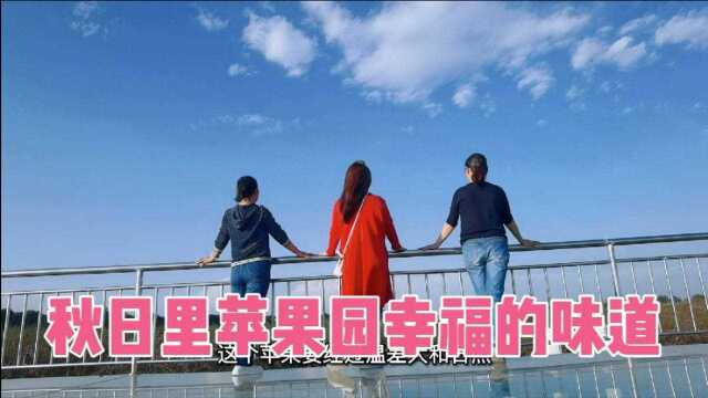 秋日里苹果园里幸福的味道