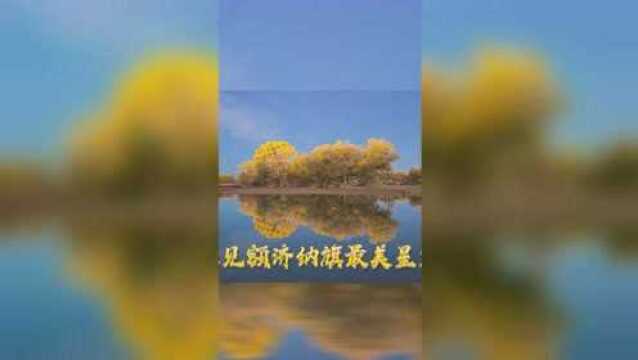 星空慢直播 | 遇见额济纳旗最美星空