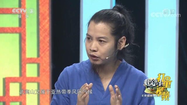 为什么武夷山的岩茶能够天下闻名?来听吴文斌科普