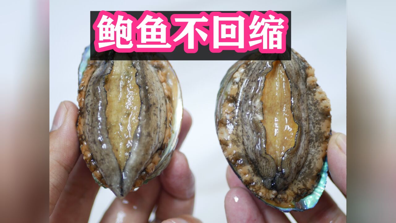 鲍鱼好吃难处理，看大厨教你怎样正确处理鲍鱼吧，简单营养不流失_高清