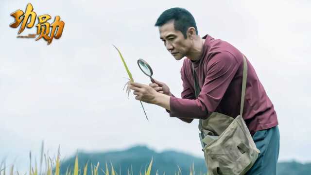 《功勋》袁隆平:带病坚持工作,克服艰难险阻!向您致敬,稻田里的追梦人!