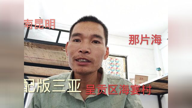 我的旅行故事8,云南昆明低配版三亚,呈贡区海宴村那片海和水杉形成一道靓丽风景#看点趣打卡计划