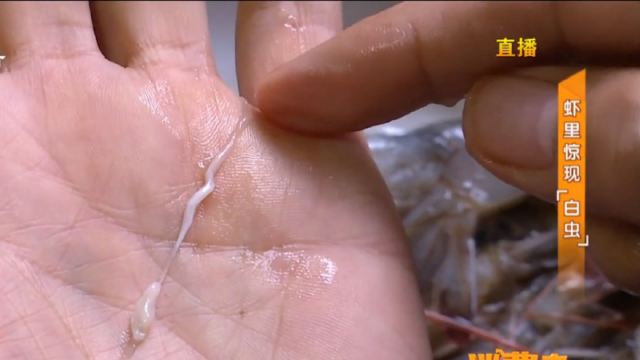 虾头两边长出"小白虫",市民闻之色变的"虫"竟然是这个?