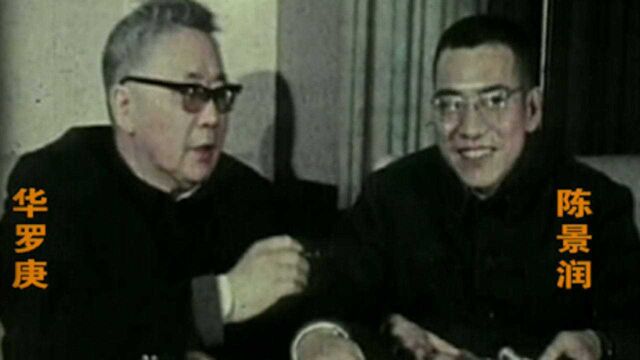 1954年,陈景润被所在中学解聘,却意外得到华罗庚赏识