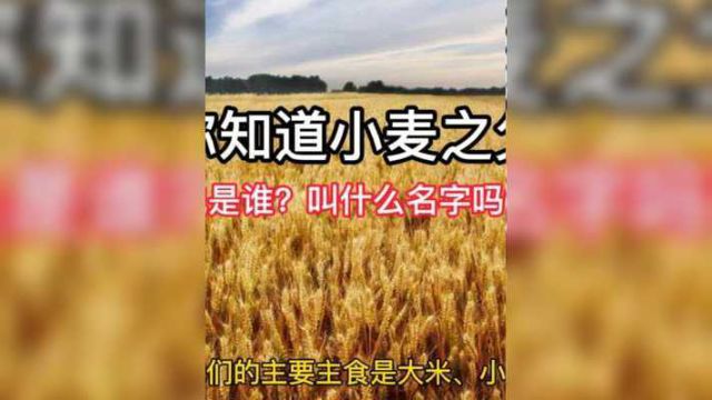 你知道小麦之父叫什么名字吗?