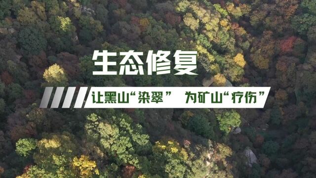 环保科普小课堂 | 生态修复,让黑山“染翠”为矿山“疗伤”