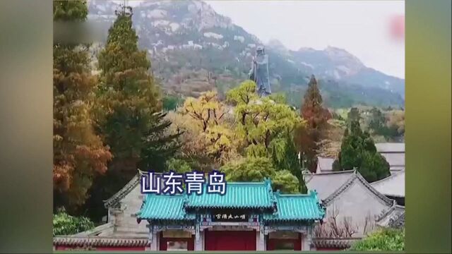 崂山发布赏叶地图 欣赏美景正当时