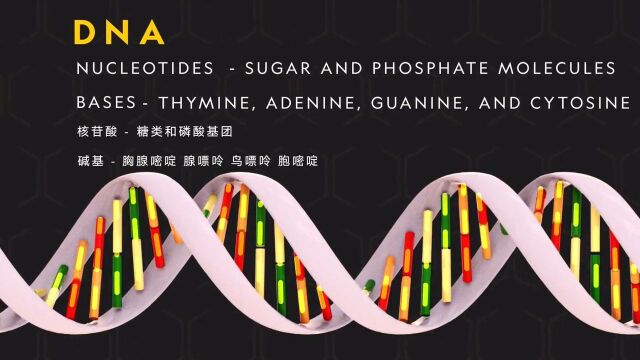 19世纪中叶人类开启探索遗传学的大门!那么遗传学究竟是什么?