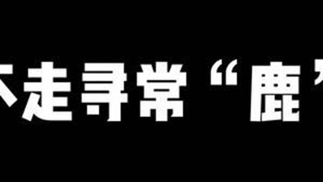 不走寻常“鹿”,帮鹿取下脖子上的轮胎,鹿的表情让人哭笑不得.