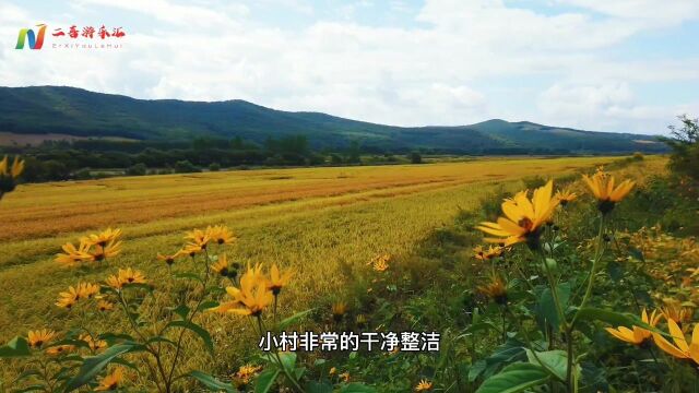 醉在国道201,雁鸣湖国宝秋沙鸭难得一见,张笑天笔下小山村在此