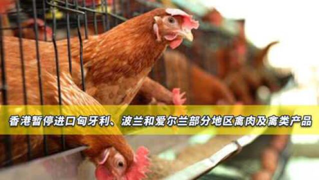 国际组织通报重要情况,港府通报:暂停进口欧洲多国禽类产品