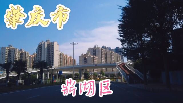 带大家看肇庆市鼎湖区,非常美的地方,夜晚寻食!非常棒的地方!