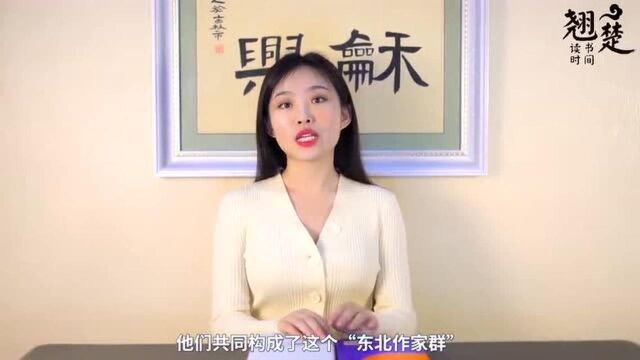 一个东北女孩眼中的东北文艺复兴| 东北题材小说推荐