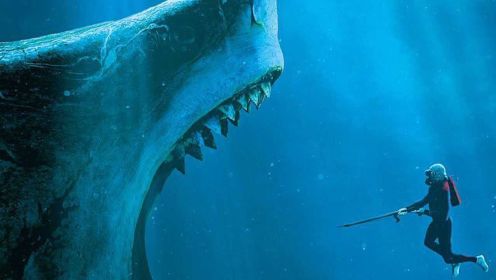 远古巨鲨闯进人类世界，鱼雷对他来就是嘴边的零食
