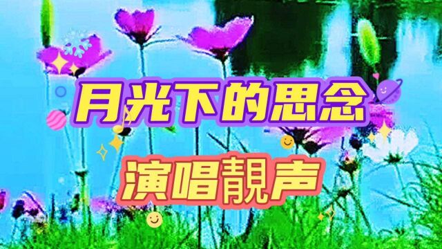 月光下的思念(演唱靓声)