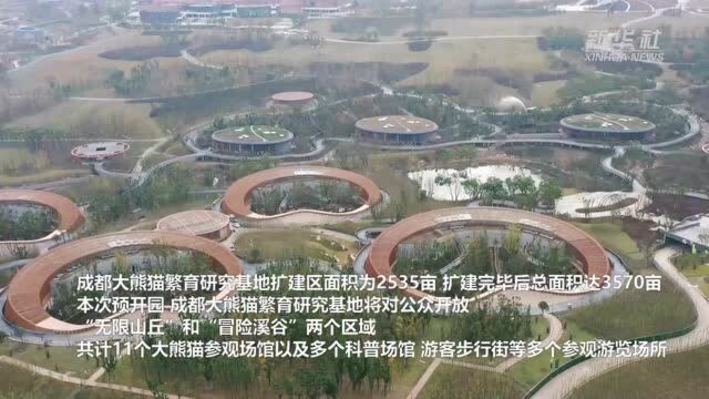 成都大熊猫繁育研究基地:熊猫陆续搬“新家”