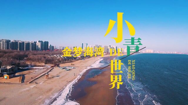 小青的世界——金梦海湾