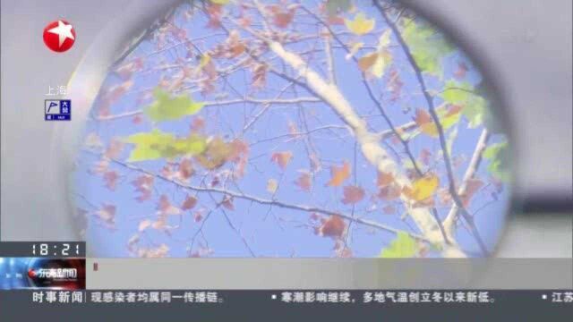 “暖冬”导致煤炭价格下降