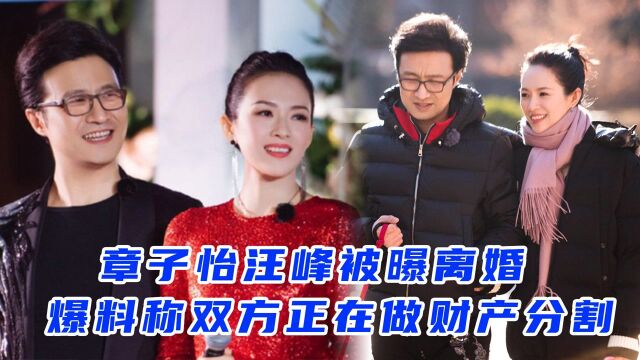 又离一对?章子怡汪峰被曝离婚,爆料称双方正在做财产分割