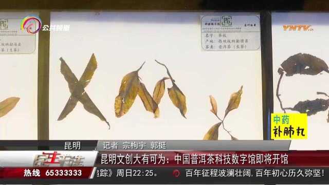 昆明文创大有可为:中国普洱茶科技数字馆即将开馆