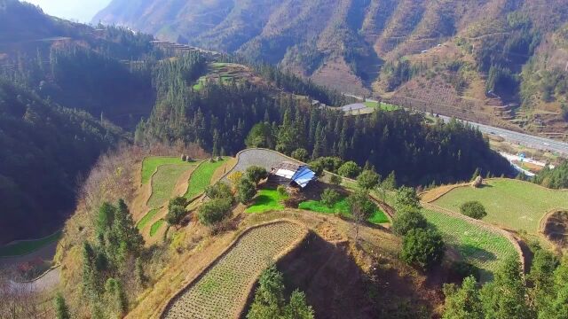 一座山,一户人家,一亩田,一家人过着隐居山林的大山生活