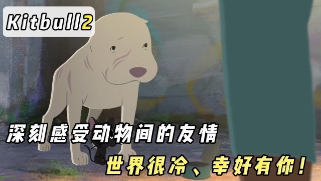 超治愈动画《Kitbull》,流浪猫和斗牛犬之间的相互救赎.