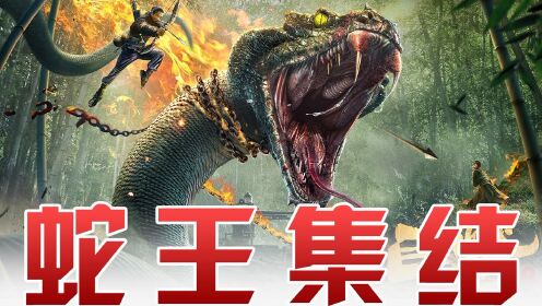 《巨蟒1》蛇王集结出没,恐怖指数飙升,胆小慎点_电影_高清1080p在线