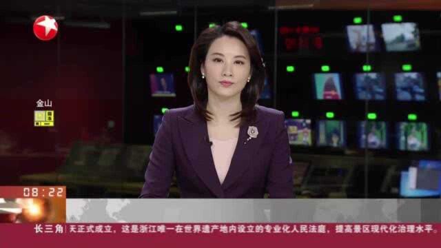 上海浦东试点“一网统管”微平台 解决农村停车难题