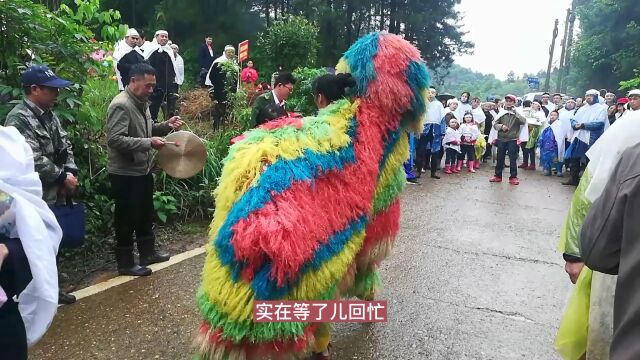 实拍湖南永州丧事歌郎,舞狮助兴,一曲《叙灵歌》唱尽民间风俗