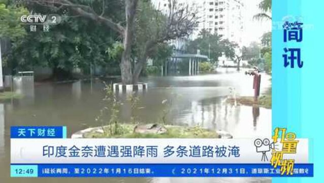 印度金奈遭遇强降雨,多条道路被淹